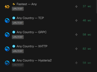 FlClashX Flowvy auto options
